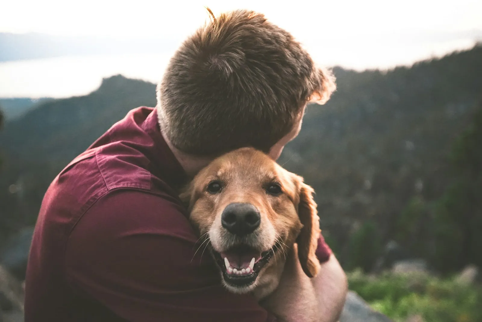 A volunteer hugging a rescue dog